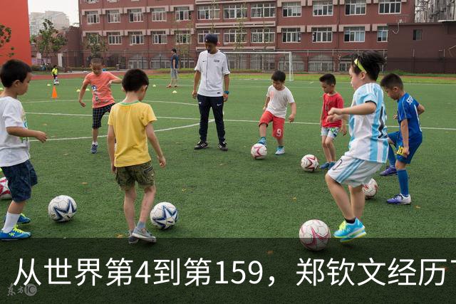 从世界第4到第159，郑钦文经历了什么？